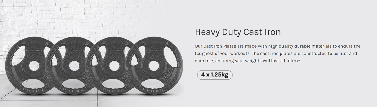 Four 1.25kg cast iron weight plates